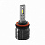    H11/H8/H9 MTF Light ACTIVE NIGHT 6000K 12v