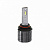    HB4 MTF Light ACTIVE NIGHT 6000K 12v